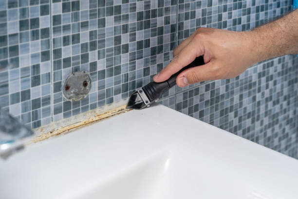 Best Residential Mold Remediation in Canal Fulton, OH